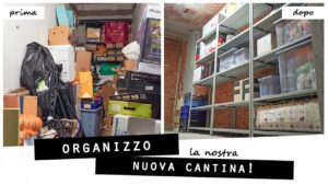 Riorganizza al meglio la tua cantina